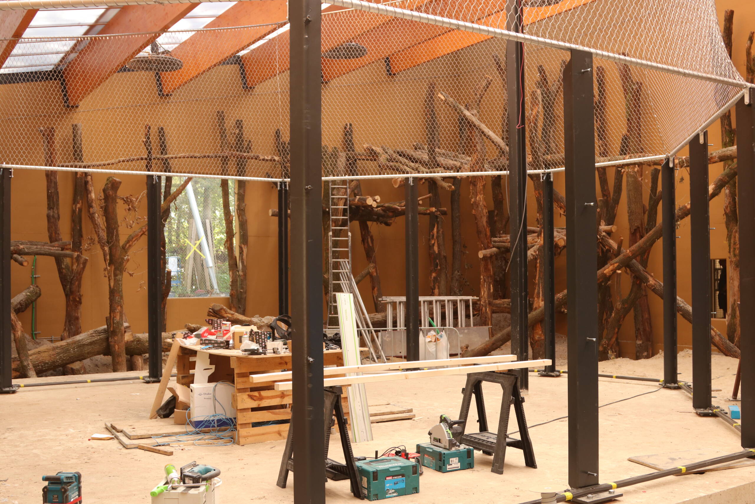 Bouw Chimpanseevallei (2)